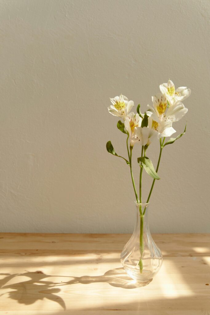 Simple elegant composition of white lilies in a glass vase with soft sunlight and shadows.